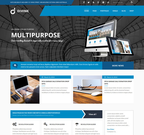 Divine - Professional Business Drupal Theme