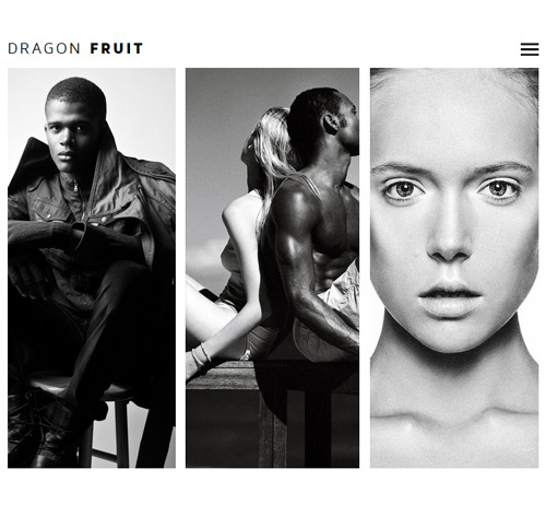 Dragon Fruit - Perfect Photography Template