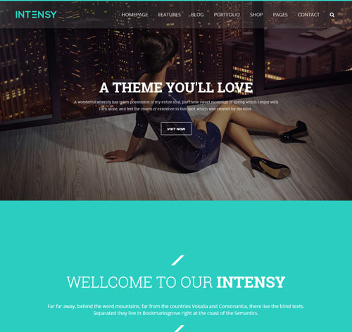 Intensy - Multipurpose HTML5 Template