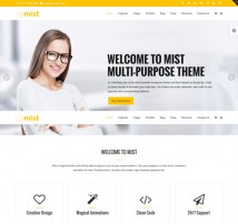 Mist - Advanced Multi-Concept Theme