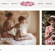 Aster - Photography Theme
