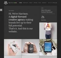 Harrison – Joomla Photography Portfolio & Blog