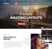 Moose - Creative Multi-Purpose Theme