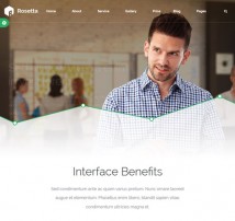 Rosetta - Multipurpose Wordpress Template
