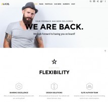 Blade - Responsive Multi-Functional Theme