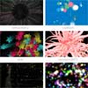 Proton : HTML5 Particle Engine