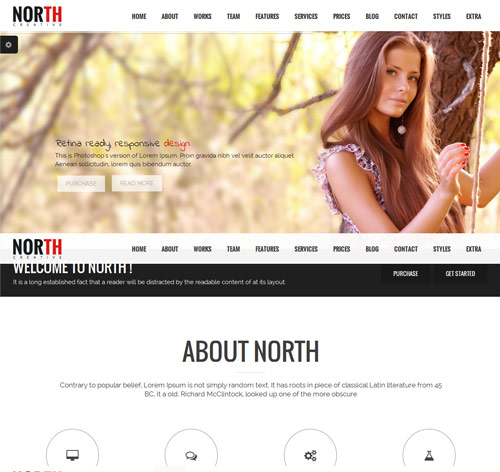 North - One Page Parallax Joomla Template