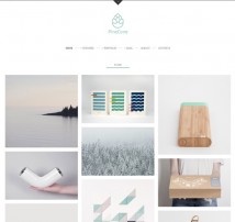 PineCone - Creative Portfolio and Blog for Agency