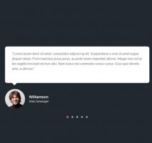 Testimonial Showcase 4