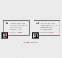 Testimonial Showcase 5