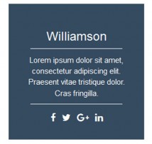 Hover Effect Style 3