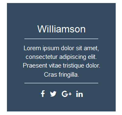 Hover Effect Style 3