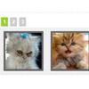 jCarrotCell : jQuery Carousel Plugin