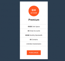 Pricing Table Style 6