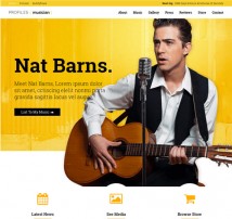 Profiles - Responsive WordPress Theme