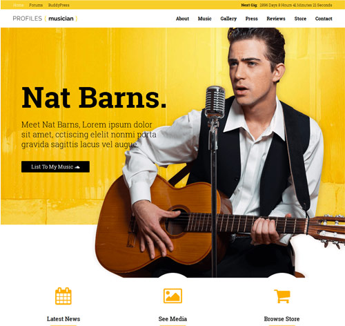 Profiles - Responsive WordPress Theme