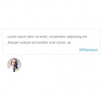 Testimonial Showcase 12