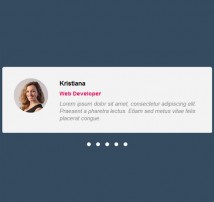 Testimonial Showcase 6