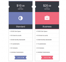 Pricing Table Style 14