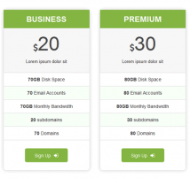 Pricing Table Style 17