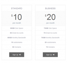 Pricing Table Style 19