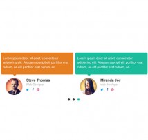 Testimonial Showcase 13