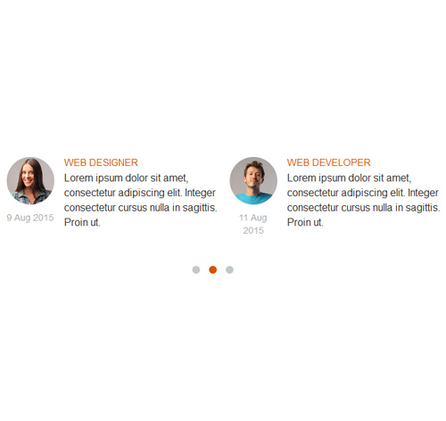 Testimonial Showcase 15