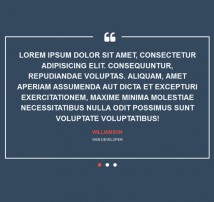 Testimonial Showcase 16