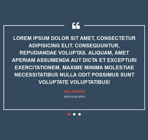 Testimonial Showcase 16