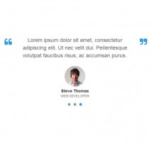 Testimonial Showcase 17