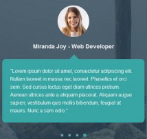 Testimonial Showcase 18