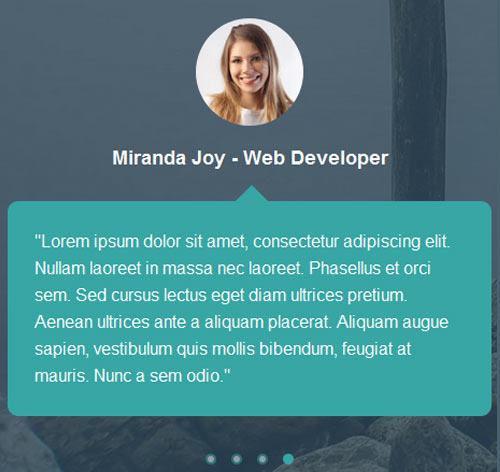 Testimonial Showcase 18