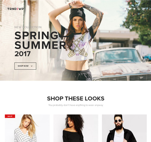 Trendy - Creative Multi-Purpose WordPress Theme