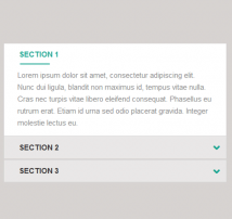 Bootstrap CSS Accordion 23