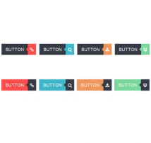 Button Style 24