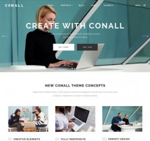 Conall - A Clean & Beautiful Multipurpose Theme