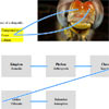 rsRefPointer : jQuery Visual Relationships between Page elements