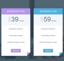 Pricing Table Style 22