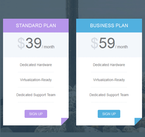 Pricing Table Style 22