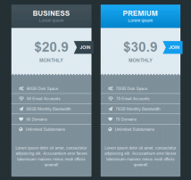 Pricing Table Style 23