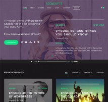 Soundbyte - Podcast/Audio WordPress Theme