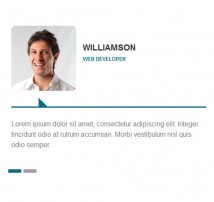 Testimonial Showcase 22