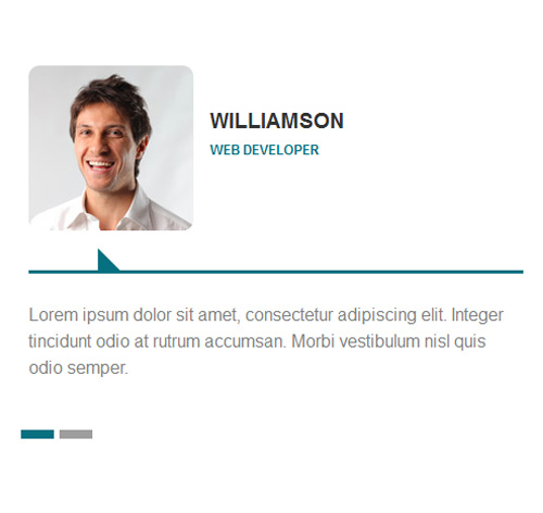 Testimonial Showcase 22