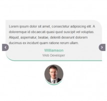 Testimonial Showcase 23