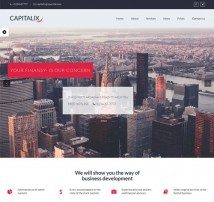 Capitalix — Business, Finance WP theme