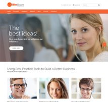 Bierbaum - Business Consulting Agency Theme
