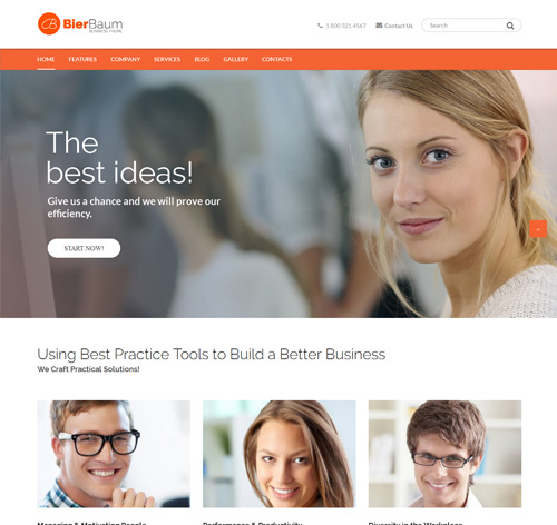 Bierbaum - Business Consulting Agency Theme