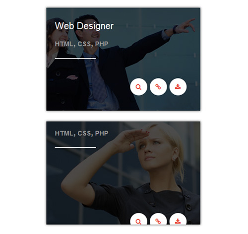Hover Effect Style 49