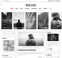 NewLine - Multi-Concept WordPress Blog Theme + RTL