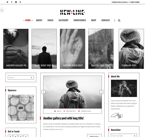 NewLine - Multi-Concept WordPress Blog Theme + RTL